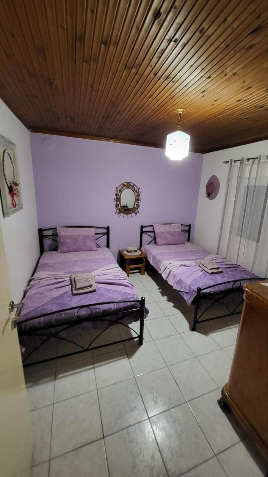 トロニHousebutterflyアパートメント 部屋 写真