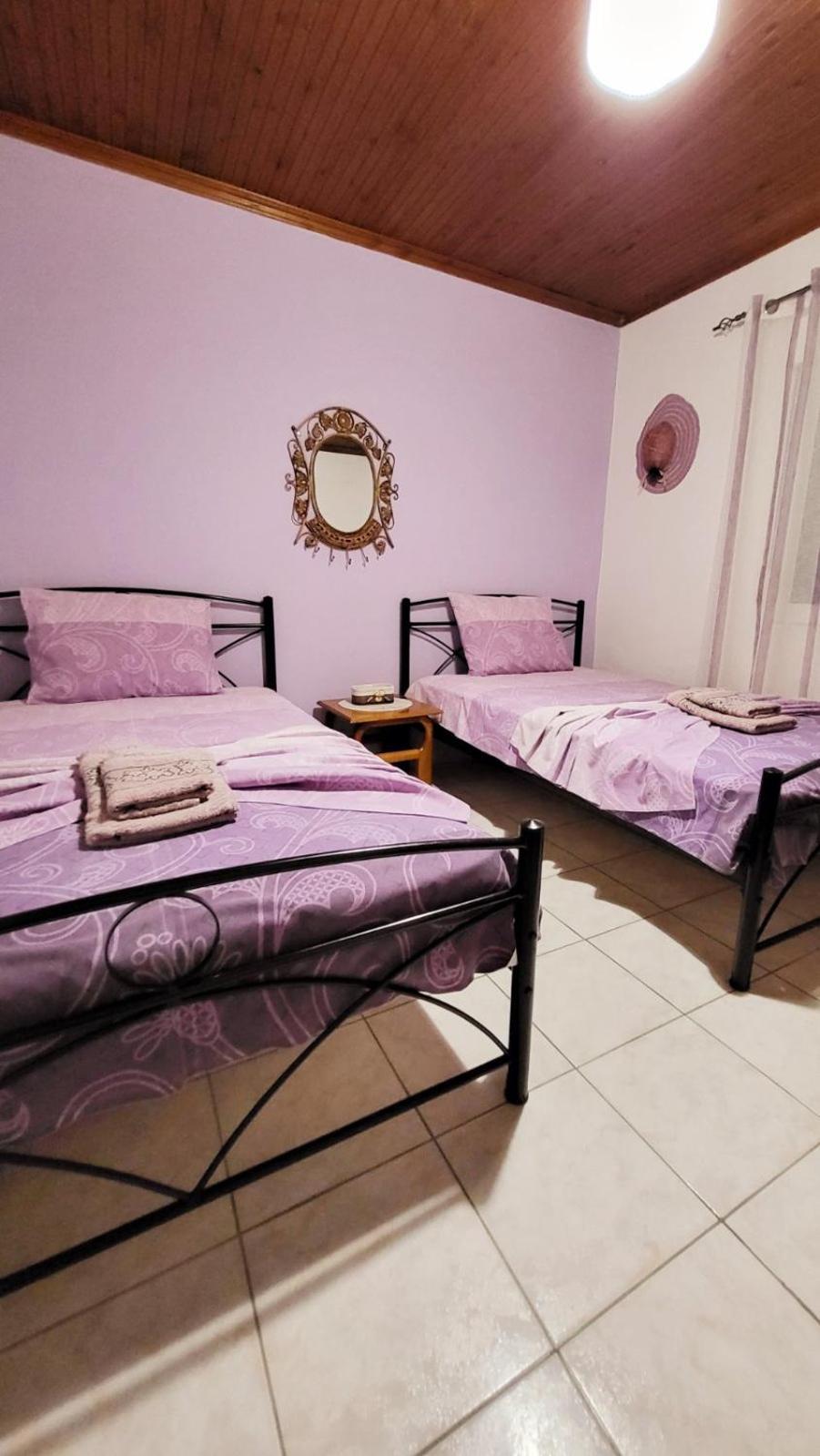 トロニHousebutterflyアパートメント 部屋 写真